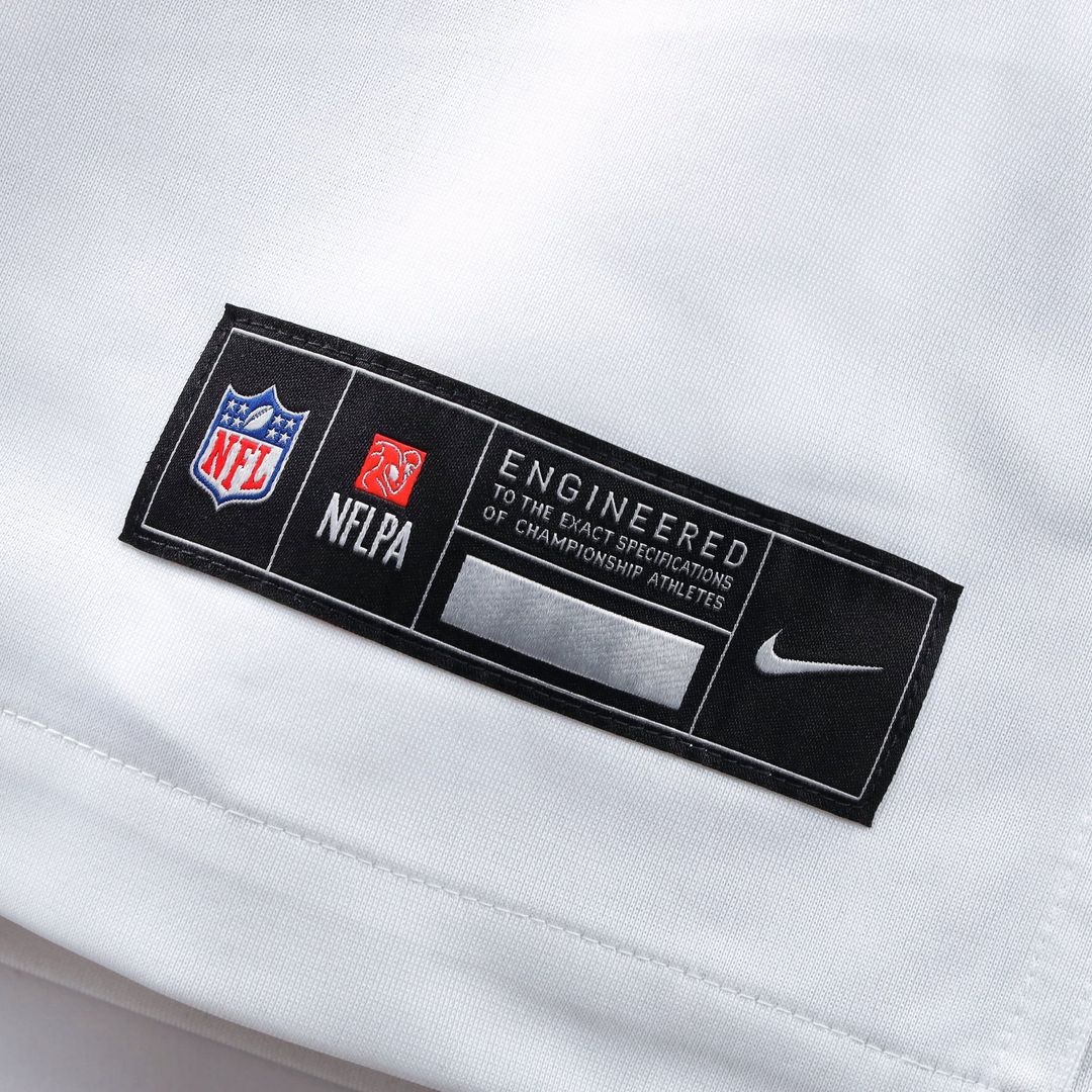 Men's Washington Commanders Sean Taylor Nike White Game product image 5